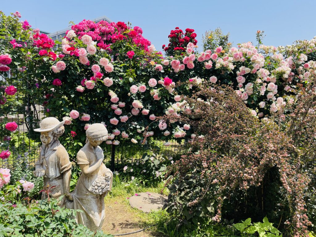 京成バラ園