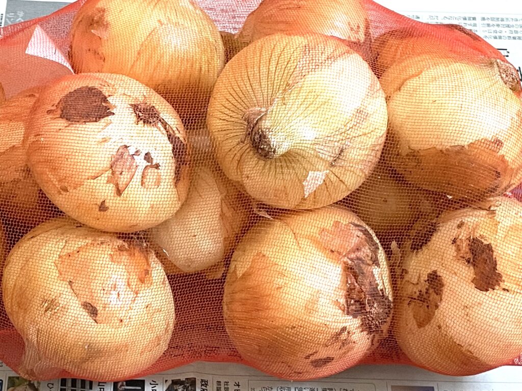 白子の新玉ねぎ
