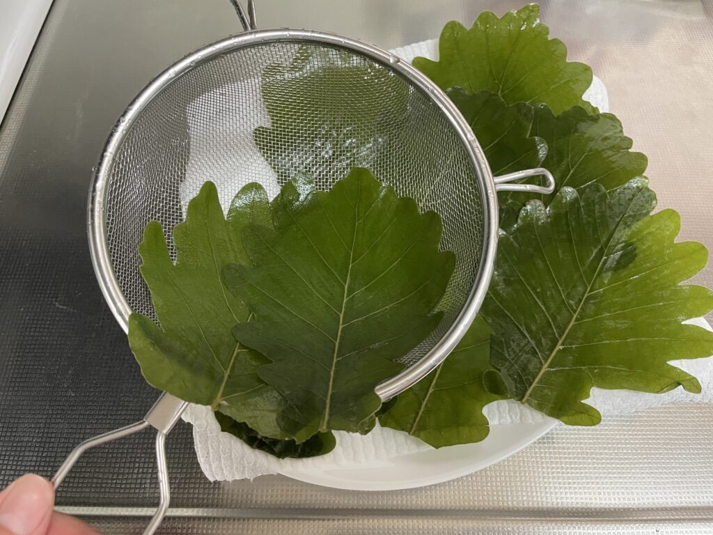 柏の葉そ軽く洗う